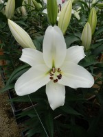 [5618 VH48 No02.JPG]